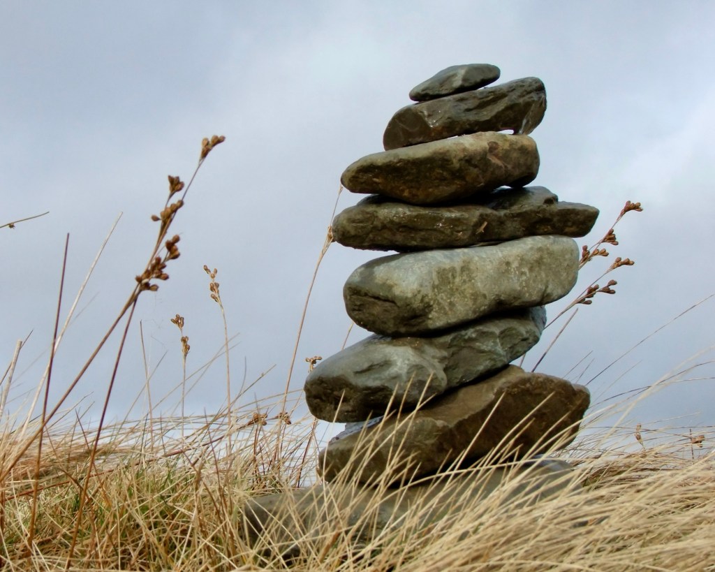 Paratechnical Services