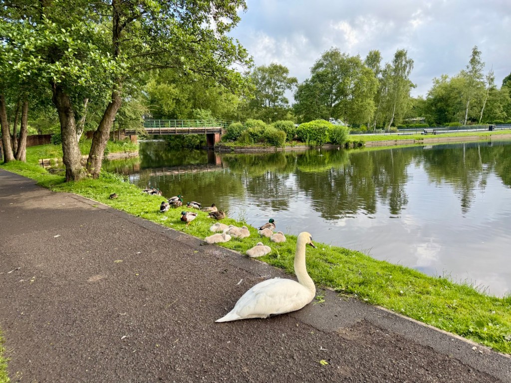 Park walk today